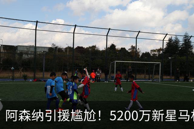 阿森纳引援尴尬！5200万新星马杜埃凯急需清洗